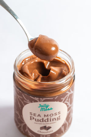 Bundle: 2 Chocolate Pudding (16oz)