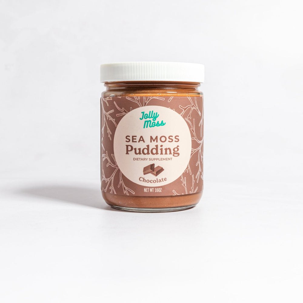 Bundle: 2 Chocolate Pudding (16oz)